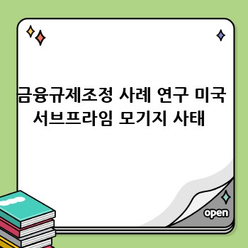 금융규제조정 사례 연구 미국 서브프라임 모기지 사태 