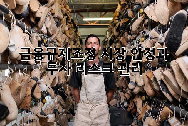 금융규제조정: 시장 안정과 투자 리스크 관리
