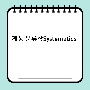 계통 분류학Systematics