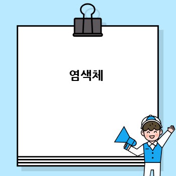 염색체