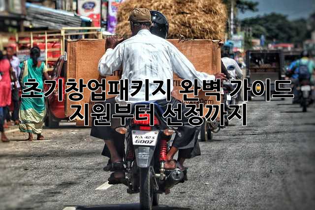 초기창업패키지 완벽 가이드: 지원부터 선정까지!