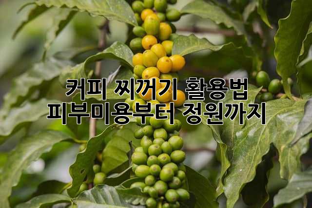 커피 찌꺼기 활용법: 피부미용부터 정원까지!