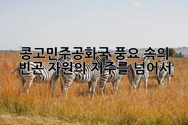 콩고민주공화국: 풍요 속의 빈곤, 자원의 저주를 넘어서