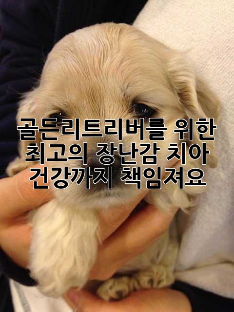 골든리트리버를 위한 최고의 장난감: 치아 건강까지 책임져요!