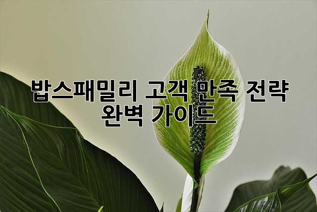 밥스패밀리 고객 만족 전략 완벽 가이드