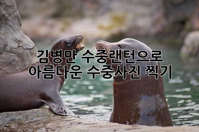 김병만 수중랜턴으로 아름다운 수중사진 찍기