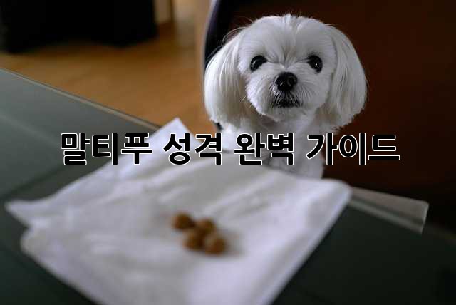 말티푸 성격: 완벽 가이드