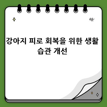 강아지 피로 회복을 위한 생활 습관 개선