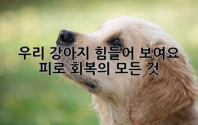 우리 강아지, 힘들어 보여요? 피로 회복의 모든 것