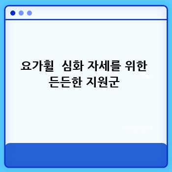 요가휠  심화 자세를 위한 든든한 지원군