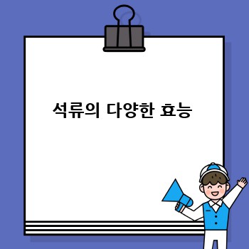 석류의 다양한 효능