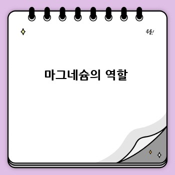 마그네슘의 역할