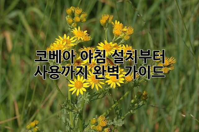 코베아 야침 설치부터 사용까지 완벽 가이드!