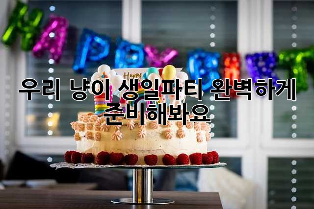 우리 냥이 생일파티, 완벽하게 준비해봐요! 🎉