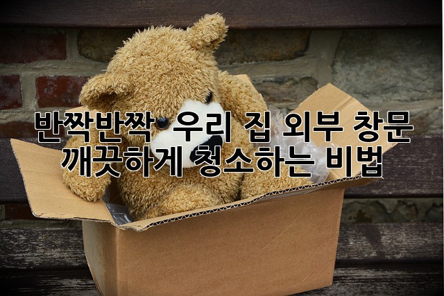 반짝반짝 ✨ 우리 집 외부 창문, 깨끗하게 청소하는 비법! 🧽