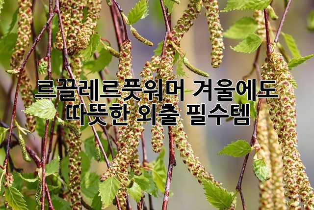 🌬️ 르끌레르풋워머: 겨울에도 따뜻한 외출 필수템!