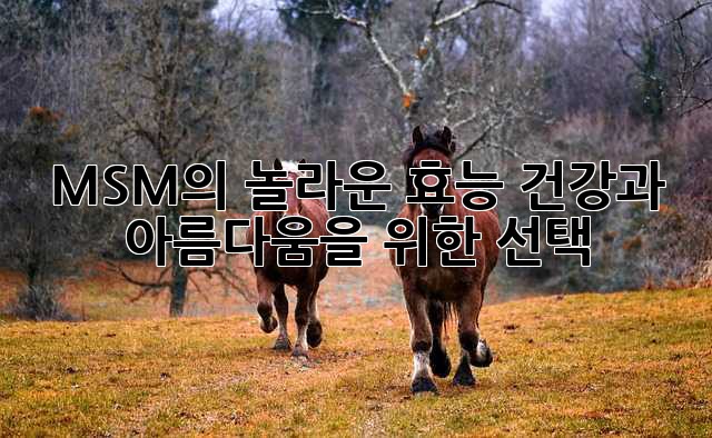 MSM의 놀라운 효능: 건강과 아름다움을 위한 선택