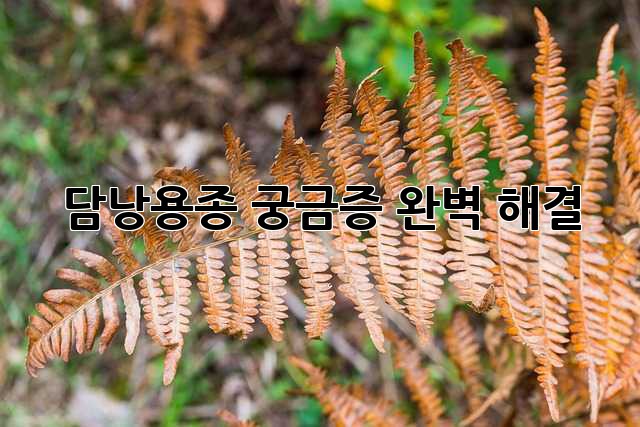 담낭용종, 궁금증 완벽 해결!
