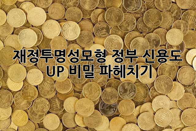 재정투명성모형🔑 정부 신용도 UP!📈 비밀 파헤치기