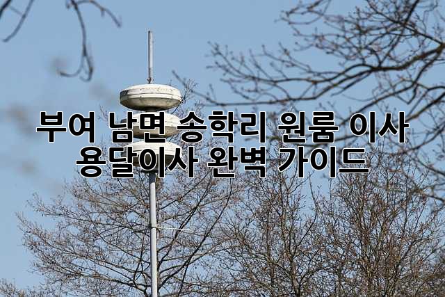 부여 남면 송학리 원룸 이사, 용달이사 완벽 가이드!
