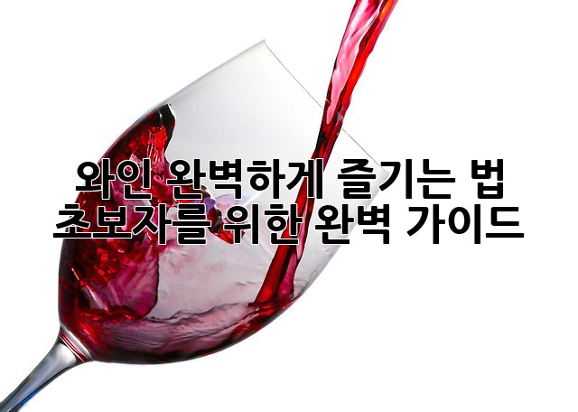 와인 완벽하게 즐기는 법: 초보자를 위한 완벽 가이드